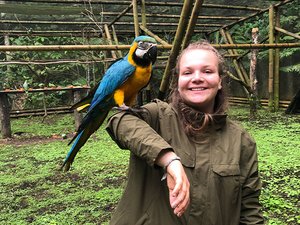Freiwillige mit gerettetem Papagei auf der Schulter im Animal Rescue Center, Ecuador