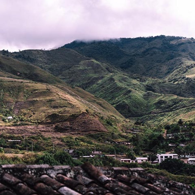 Umwelt Projekt Paso Verde - Ecuador 