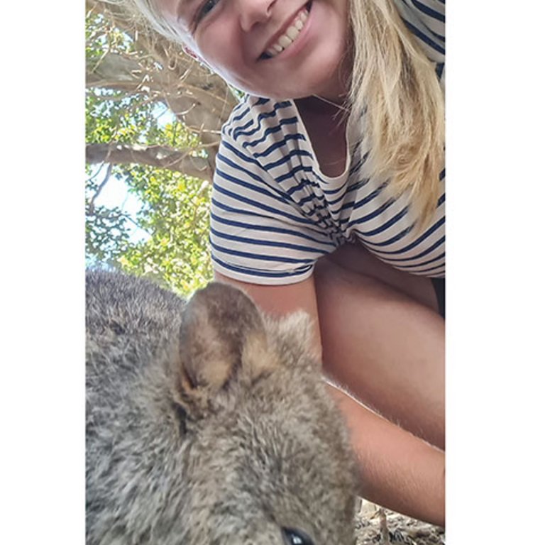 arbeiten auf einer Farm in Australien, Farmstay-Programm, Work and travel, KulturLife, Wombat