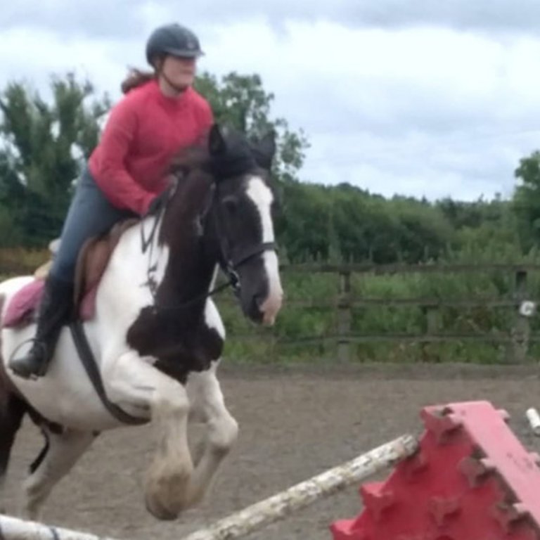 Reiterin mit Pferd springt über Hindernis, Homestay Kurzaufenthalt, Reitcamp Irland