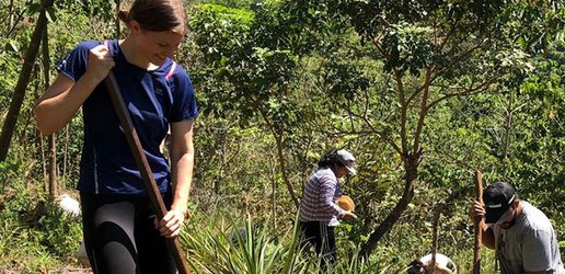 Nele bei der Arbeit auf einem Ananas-Feld in Costa Rica, zusammen mit anderen Volontären