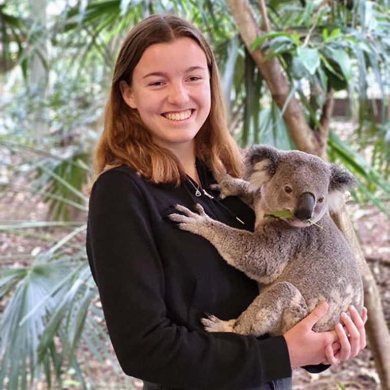 work and travel in Australien, Work and Travel mit KulturLife, Erfahrungen, Natur, Auslandsjahr, Koala