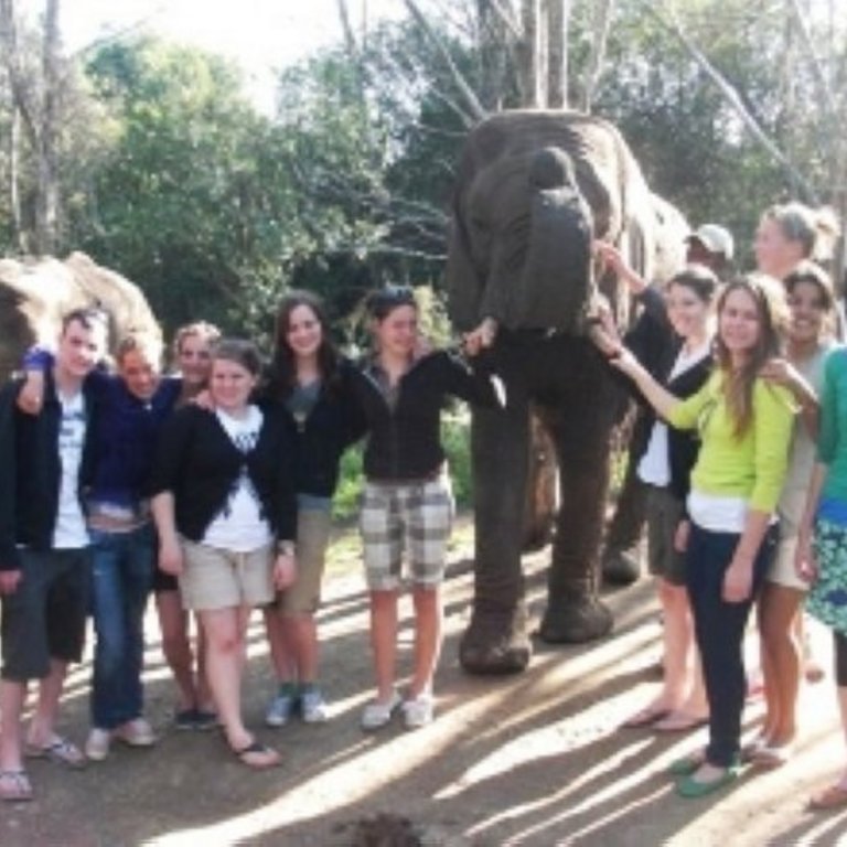 Austauschjahr in Kapstadt, Südafrika, Erfahrungen sammeln mit KulturLife, Freunde, Elefant