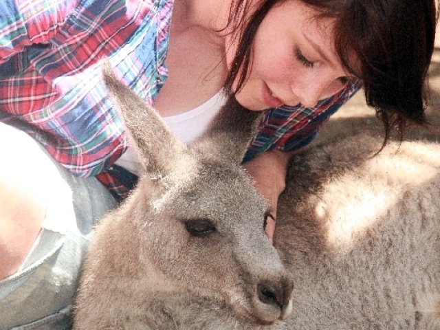 Auslandsjahr in Australien, Erfahrungen sammeln mit KulturLife, Freunde, Ausflug, Känguru